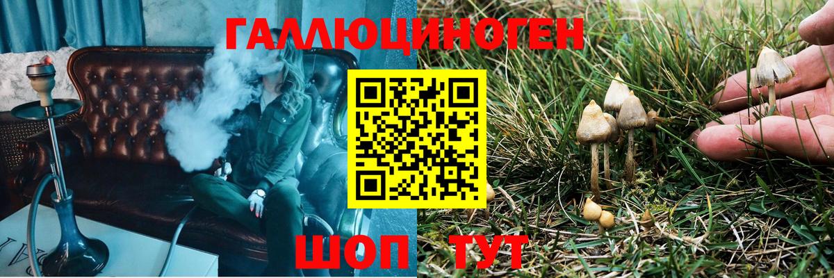 Псилоцибиновые грибы Magic Shrooms  Вход с VPN  Пятигорск  Галлюциногенные грибы прущие грибы 