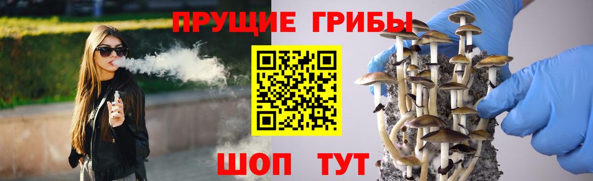 Псилоцибиновые грибы Magic Shrooms Пятигорск